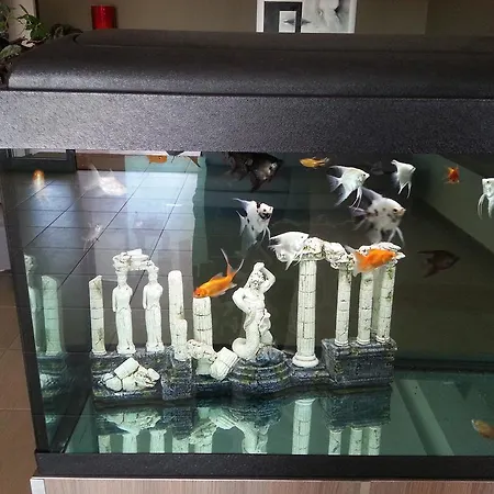 Hotel Poseidon
