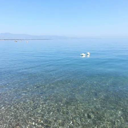 Hotel Poseidon 3*